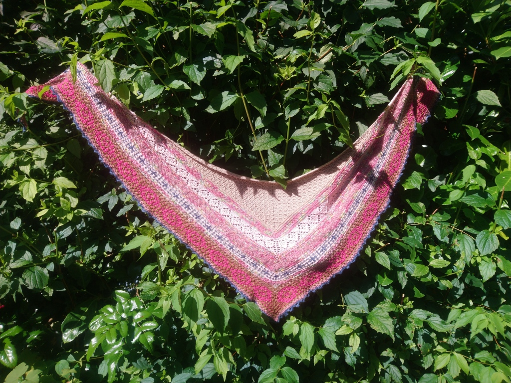 a mostly pink triangular shawl is held up on branches of a very lush green hedge